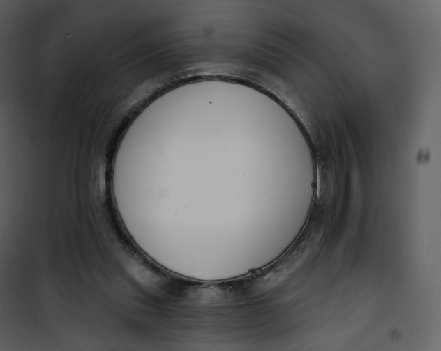 X0000101200253200807181542