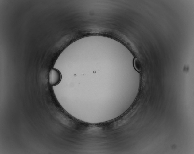 X0000101200257200807181542