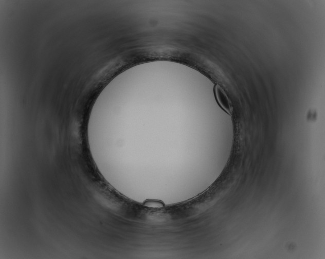 X0000101200258200807181542