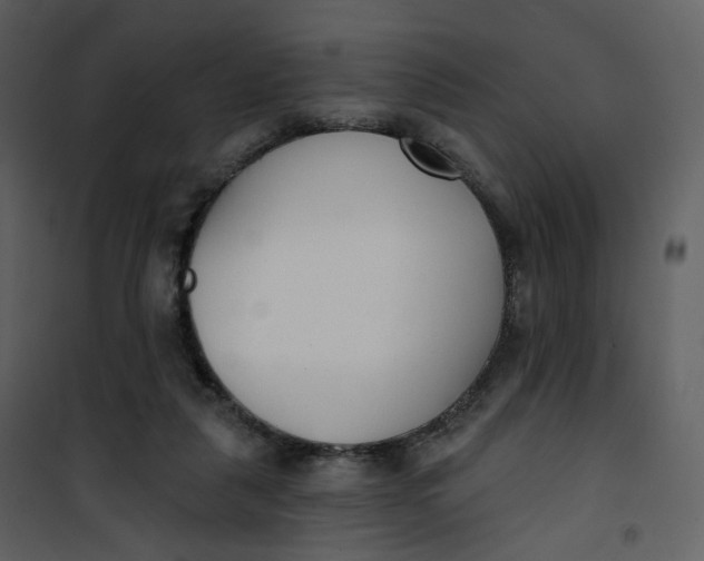 X0000101200259200807181542