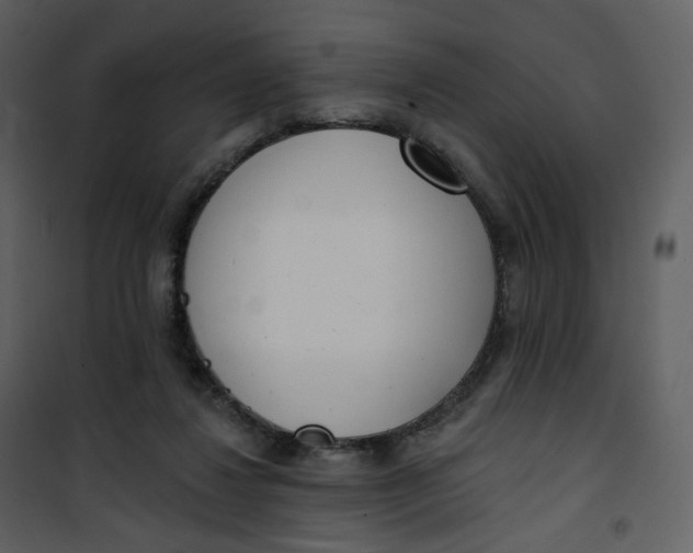 X0000101200260200807181542