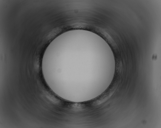 X0000101200261200807181542