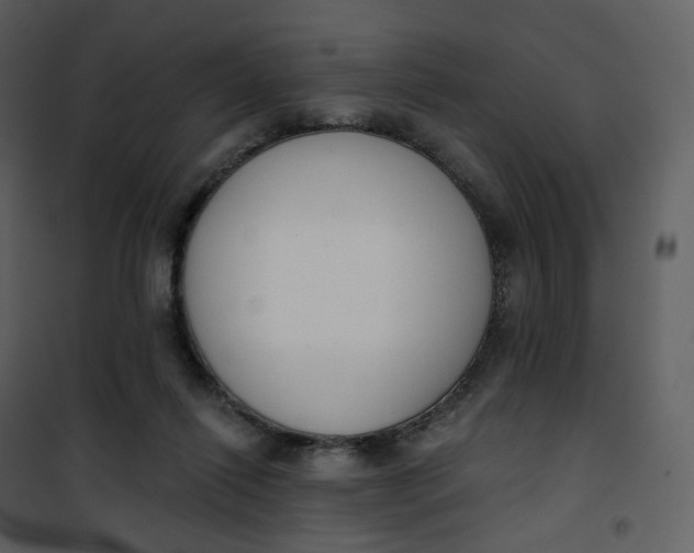 X0000101200262200807181542