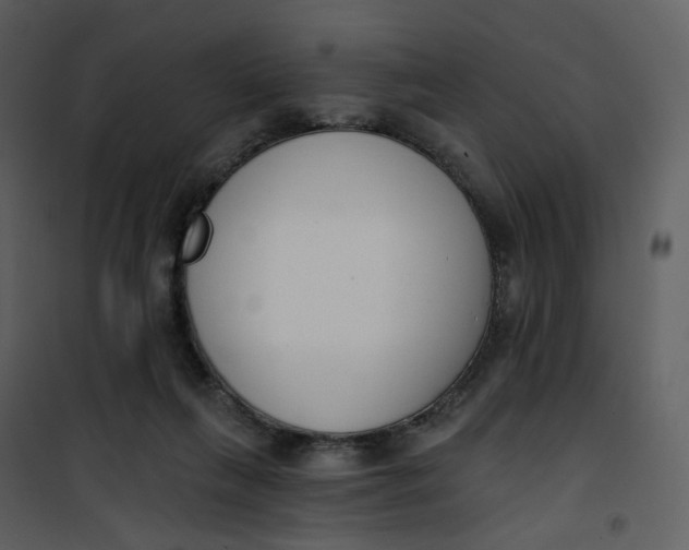 X0000101200263200807181542