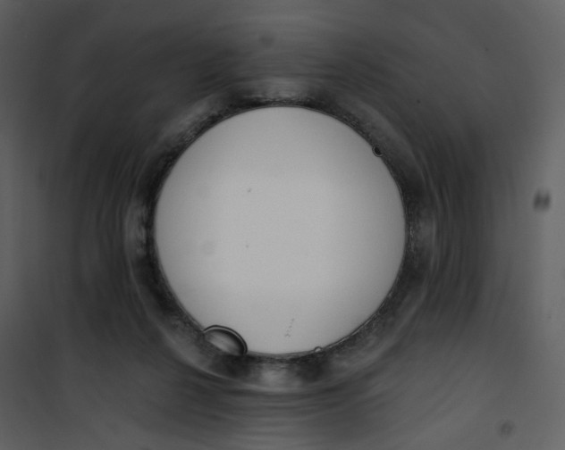 X0000101200264200807181542