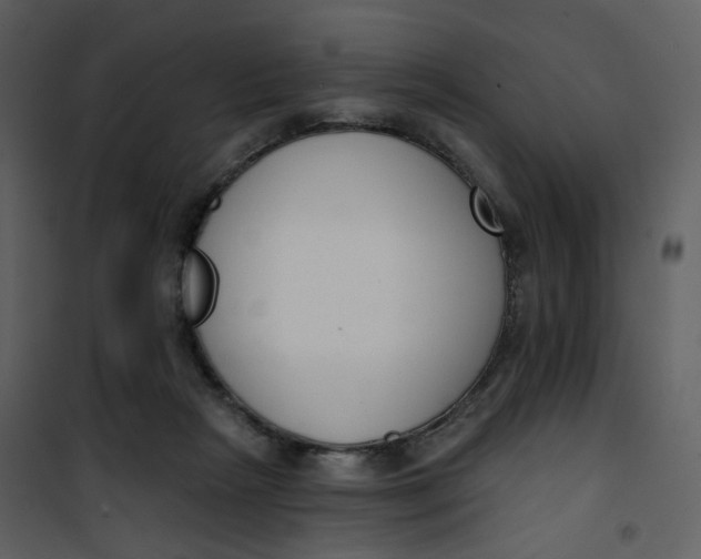 X0000101200265200807181542