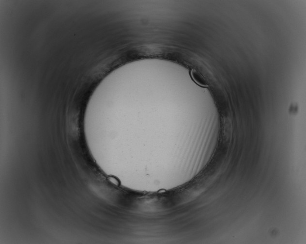 X0000101200267200807181542