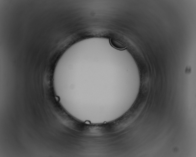 X0000101200268200807181542