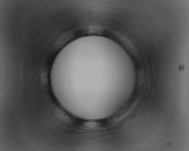 X0000101200269200807181542