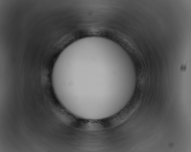 X0000101200270200807181542