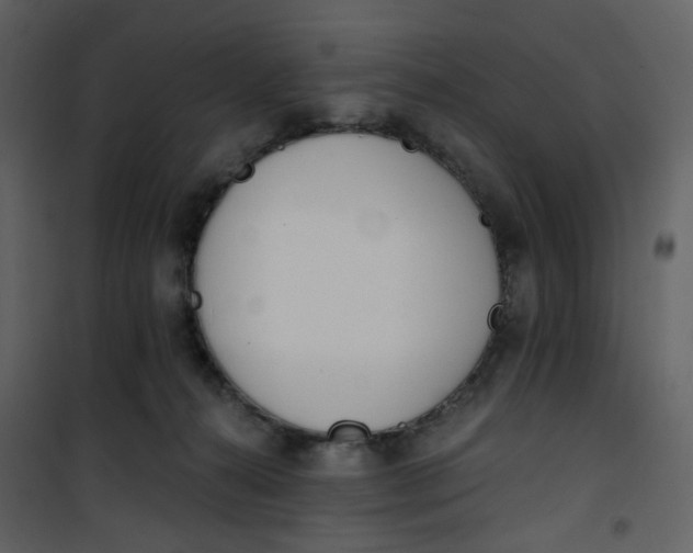 X0000101200272200807181542