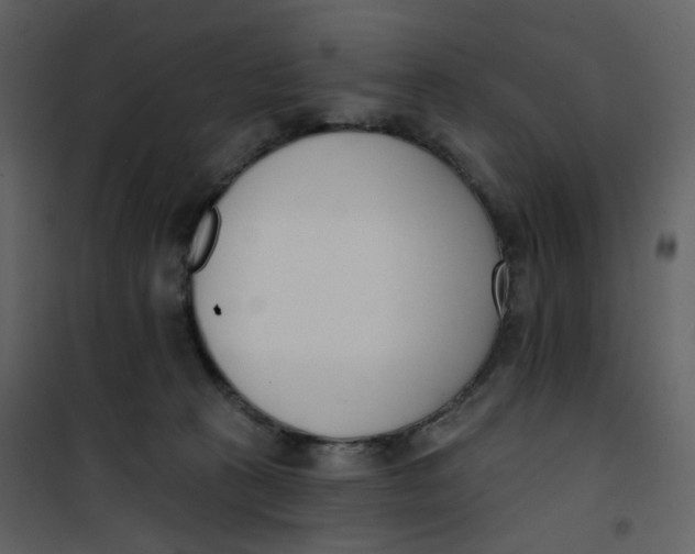 X0000101200273200807181542