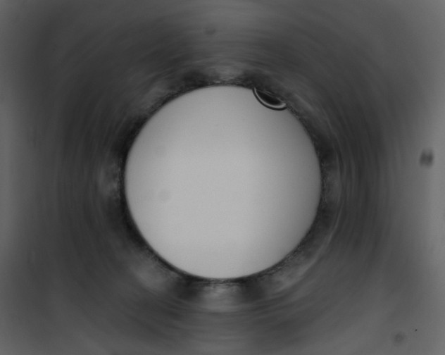 X0000101200274200807181542