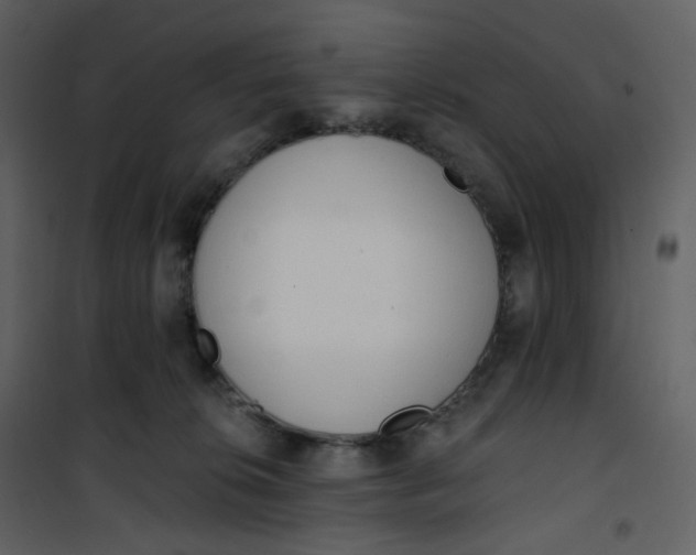 X0000101200276200807181542