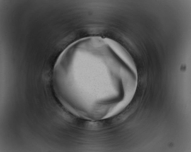 X0000101200277200807181542