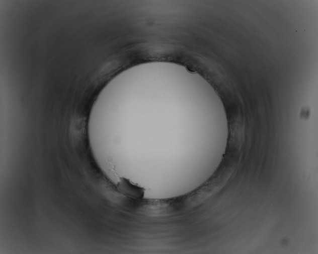 X0000101200278200807181542