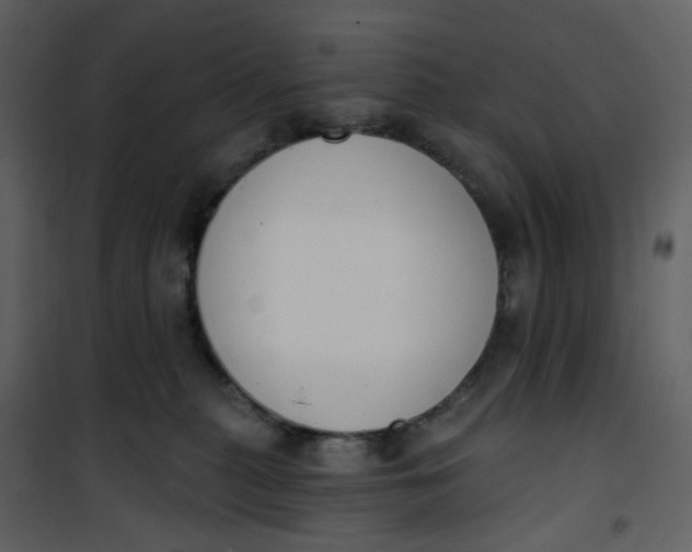 X0000101200279200807181542