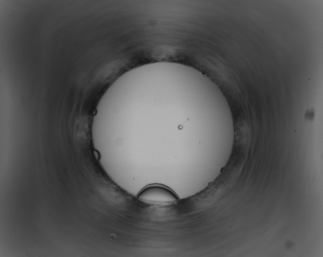 X0000101200280200807181542