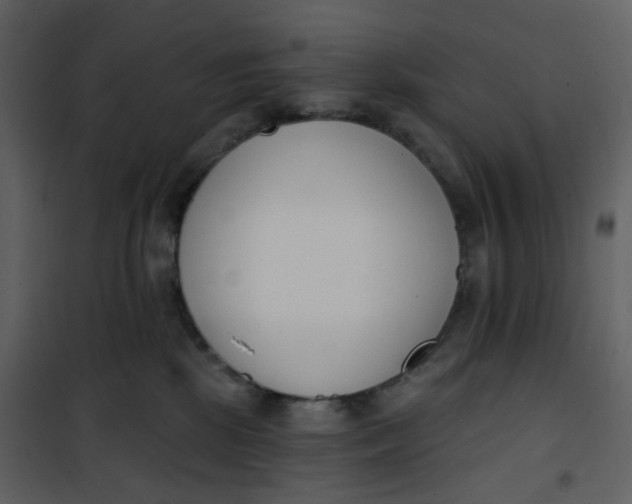 X0000101200281200807181542