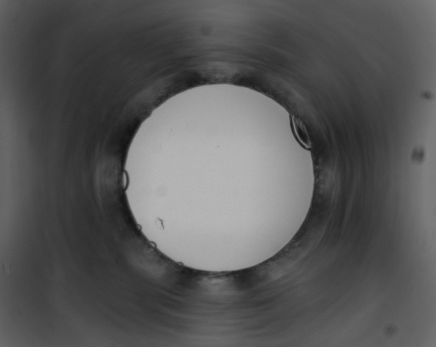 X0000101200283200807181542