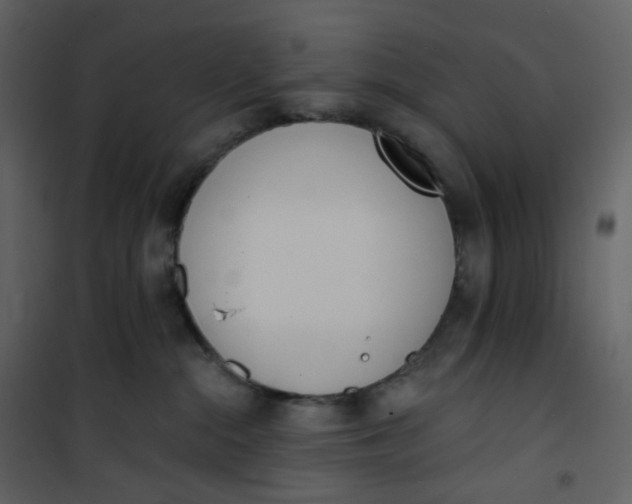 X0000101200284200807181542