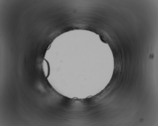 X0000101200285200807181542