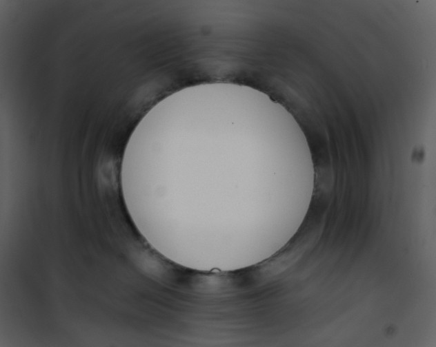 X0000101200286200807181542