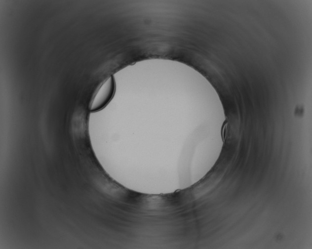 X0000101200287200807181542