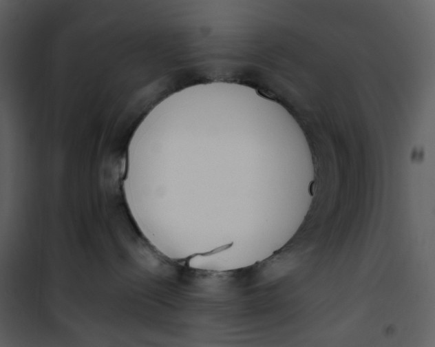 X0000101200288200807181542