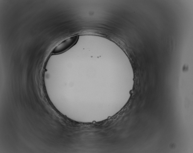 X0000101200289200807181542