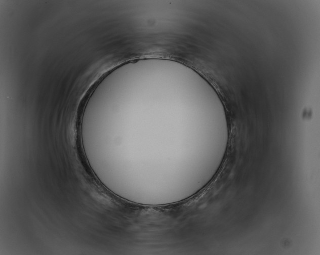 X0000101200290200807181542