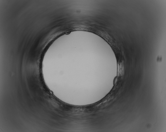 X0000101200291200807181542