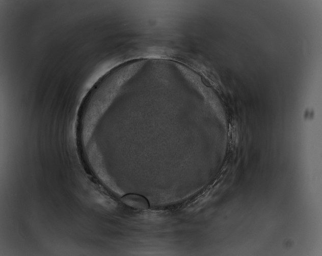 X0000101200292200807181542