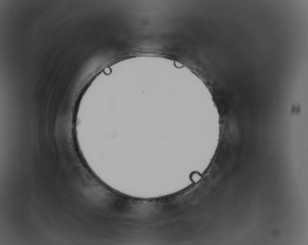 X0000101200293200807181542