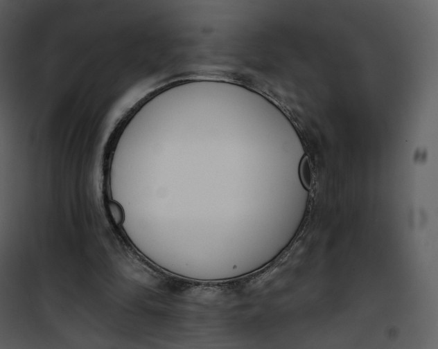 X0000101200294200807181542