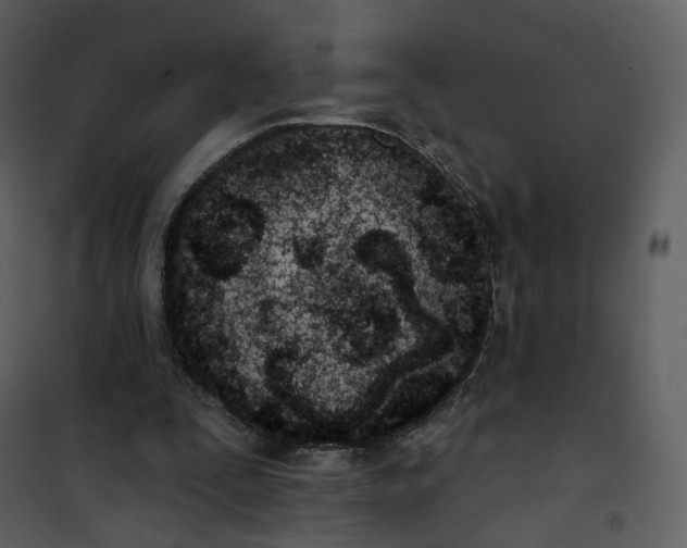 X0000101200295200807181541