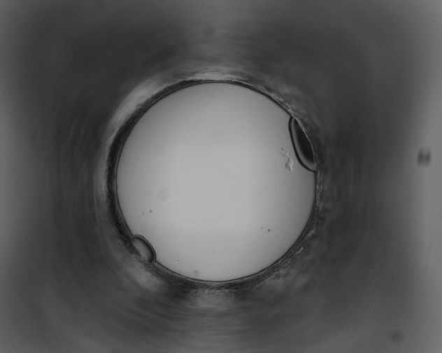 X0000101200296200807181541