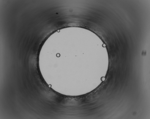 X0000101200297200807181541