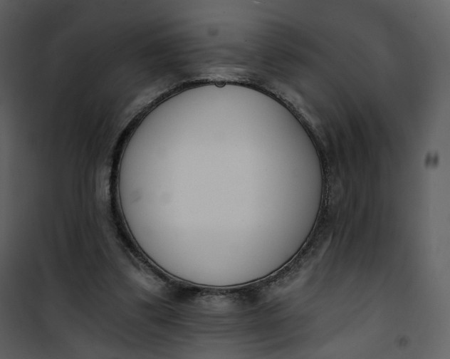 X0000101200299200807181541