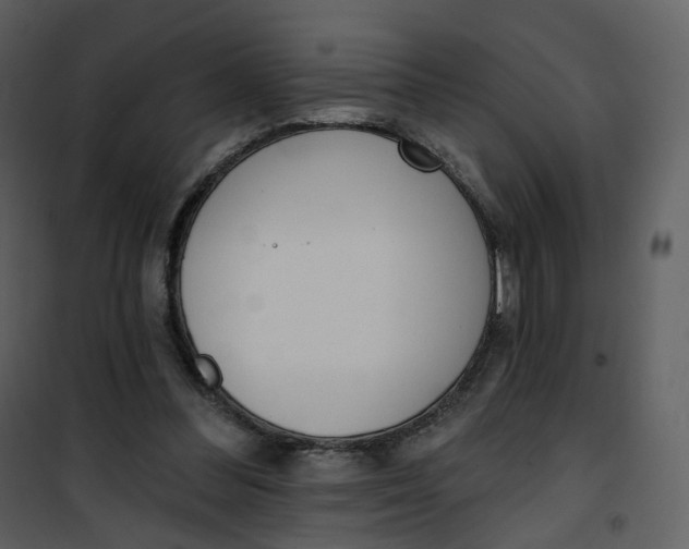 X0000101200300200807181541