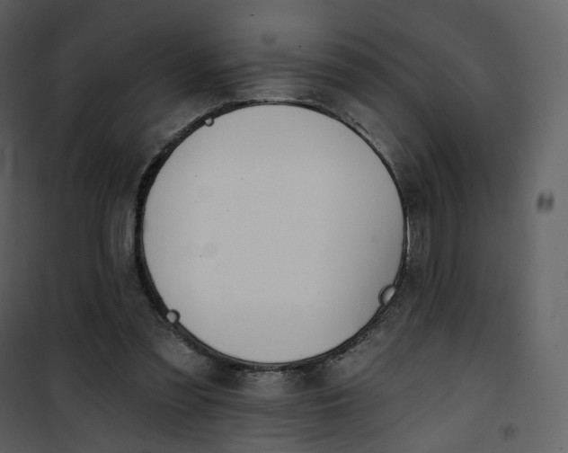 X0000101200301200807181541