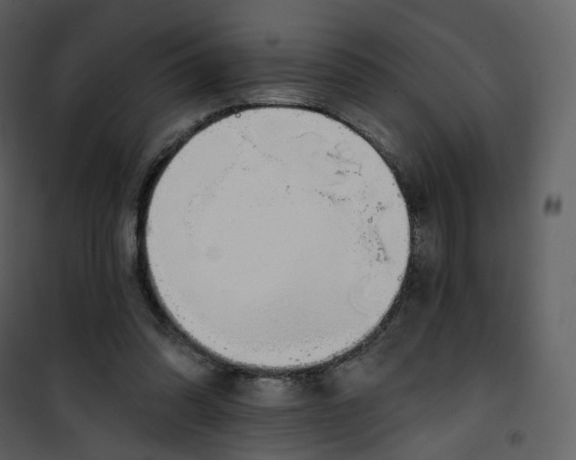 X0000101200302200807181541