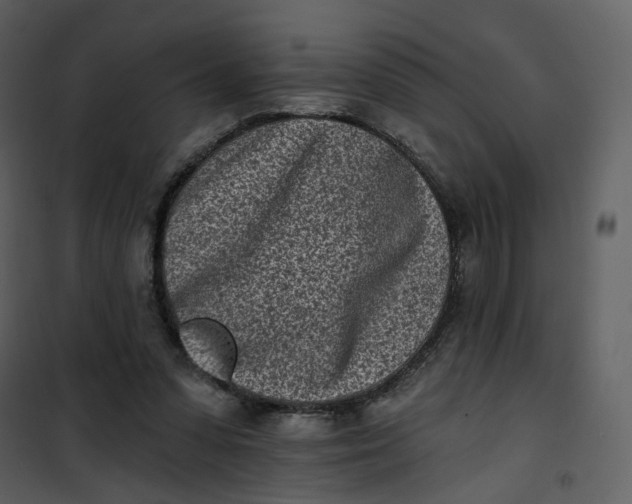 X0000101200303200807181541