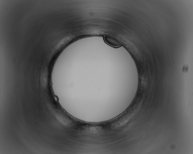 X0000101200304200807181541