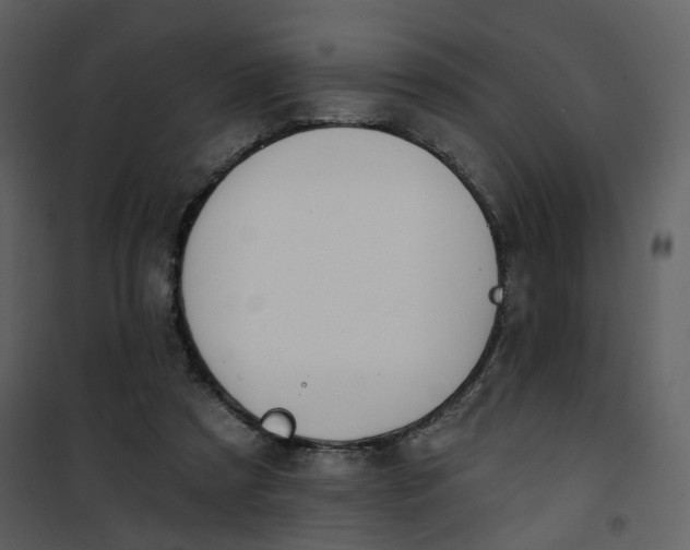 X0000101200305200807181541