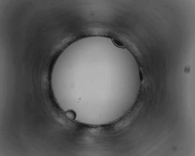 X0000101200306200807181541