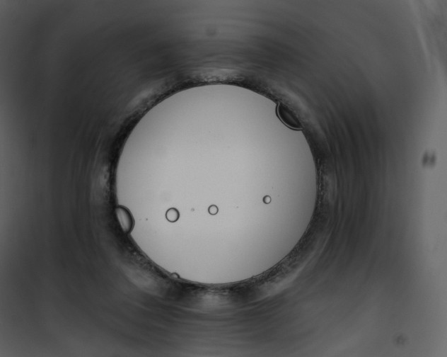 X0000101200308200807181541