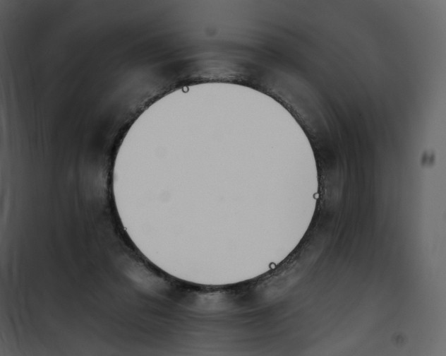 X0000101200309200807181541