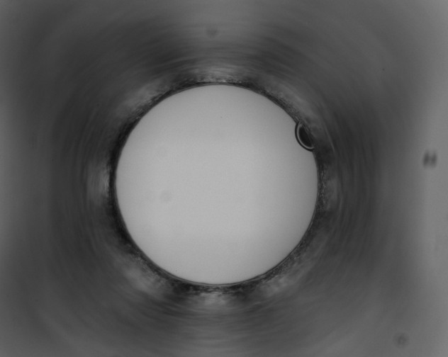 X0000101200310200807181541