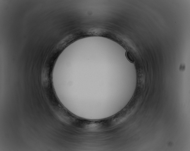 X0000101200312200807181541